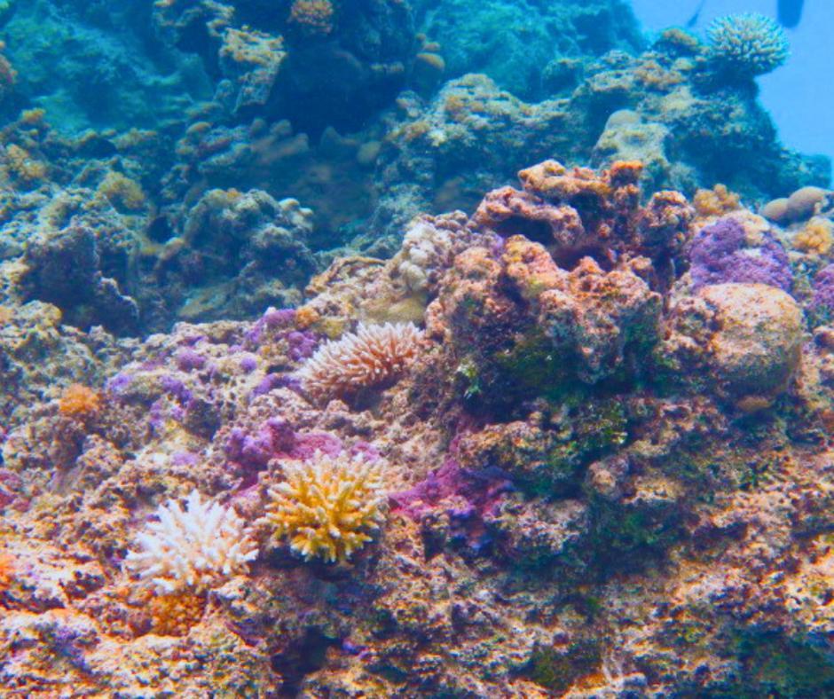 Resort Tava'E Amuri Exterior foto